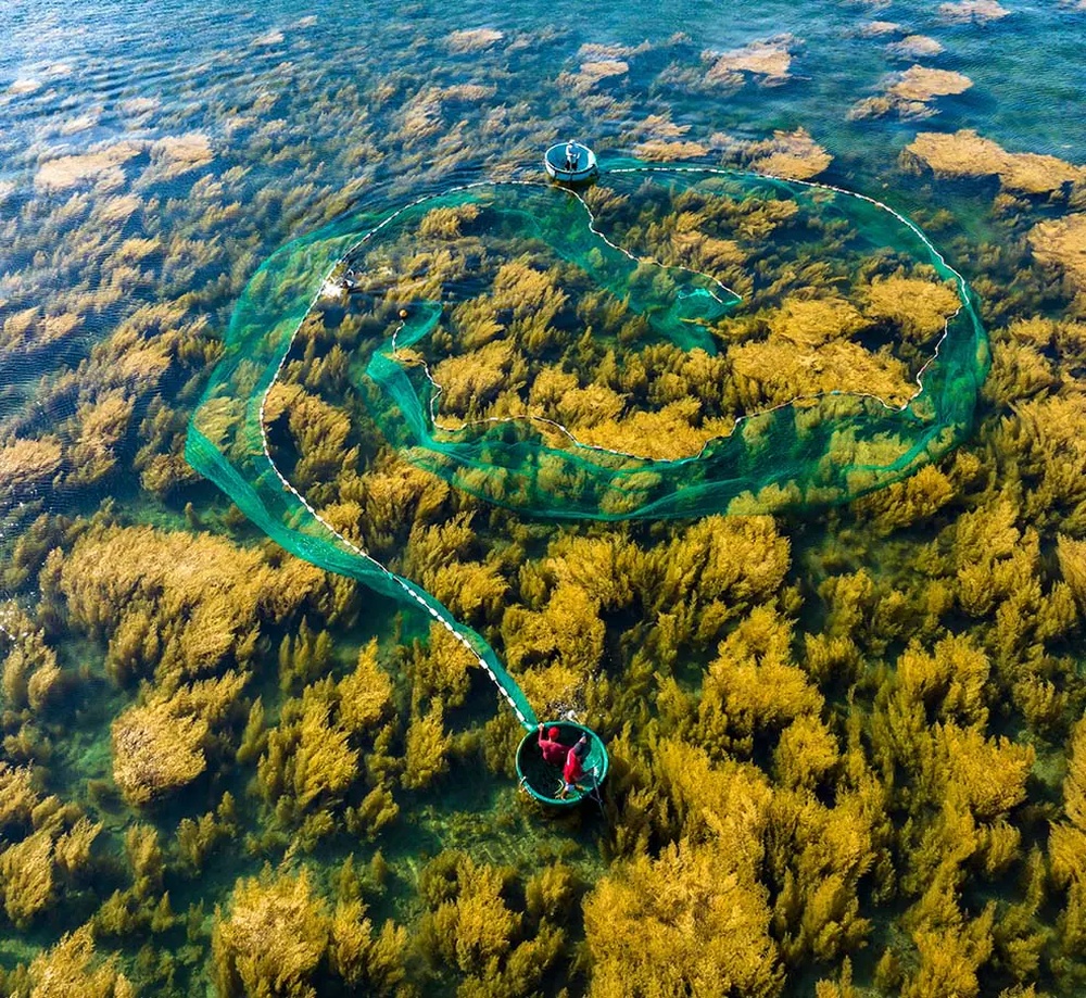 Hon Kho Island is especially known for its vibrant coral reefs and diverse marine ecosystem