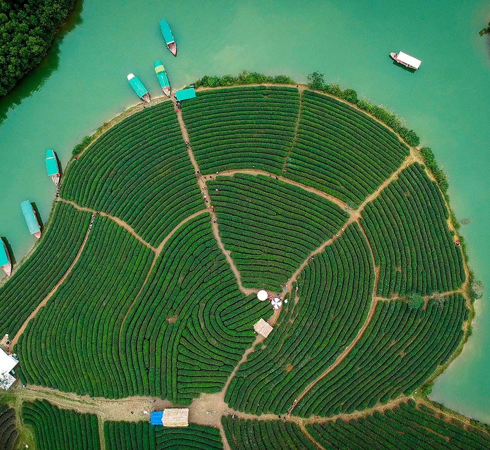 Vinh City from above – a vibrant cultural landscape 