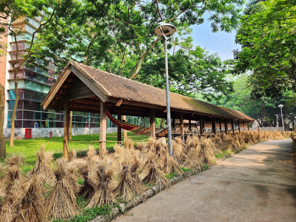 the museum of ethnology