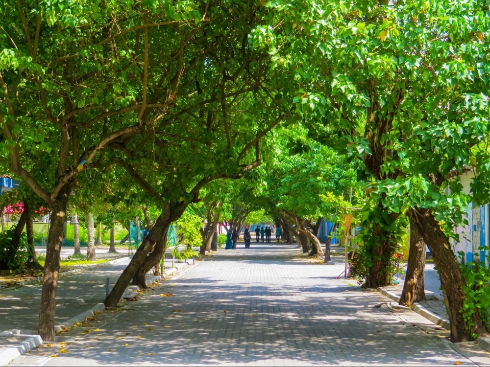 Dạo bộ trong các không gian xanh mát của Sài Gòn